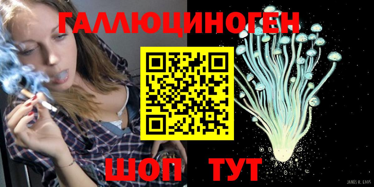 Тавда  Галлюциногенные грибы Psilocybine cubensis  Вход с VPN 